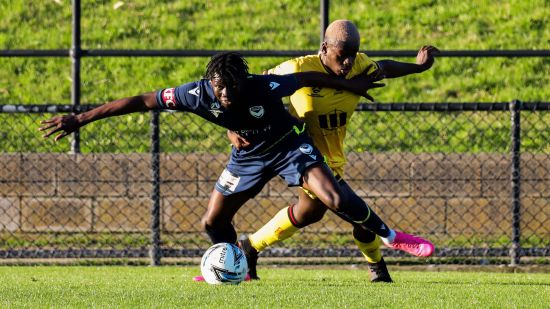 Academy Preview: NPL3 host Box Hill, Juniors at home